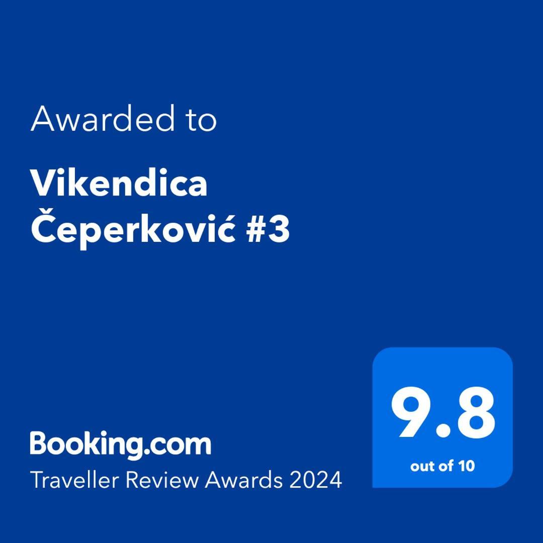 Vikendica Ceperkovic #3 Βίλα Κοπαόνικ Εξωτερικό φωτογραφία